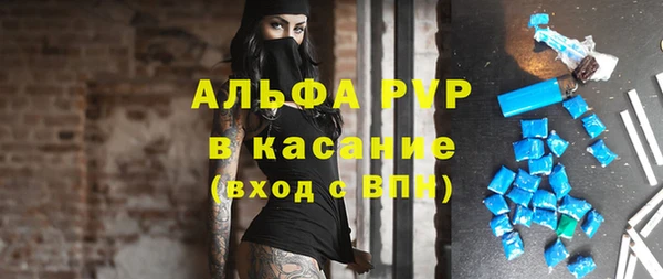 прущий лед Новозыбков
