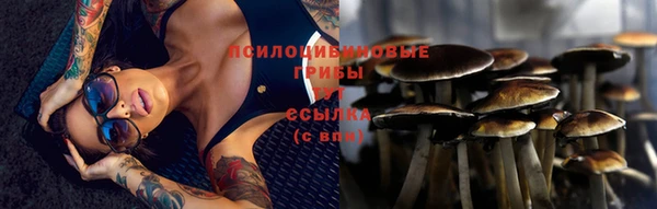 экстази Абаза