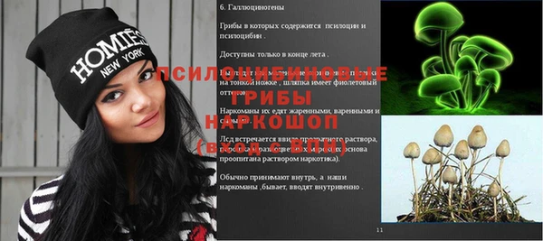 мдпв Абдулино