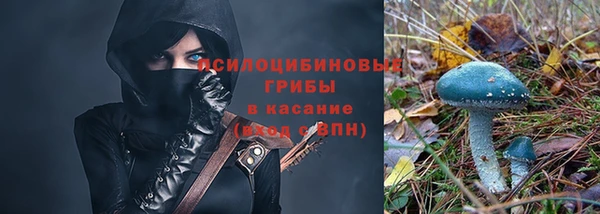 стафф Новодвинск
